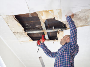 4 Main Summer Restoration Services in Brevard County, FL